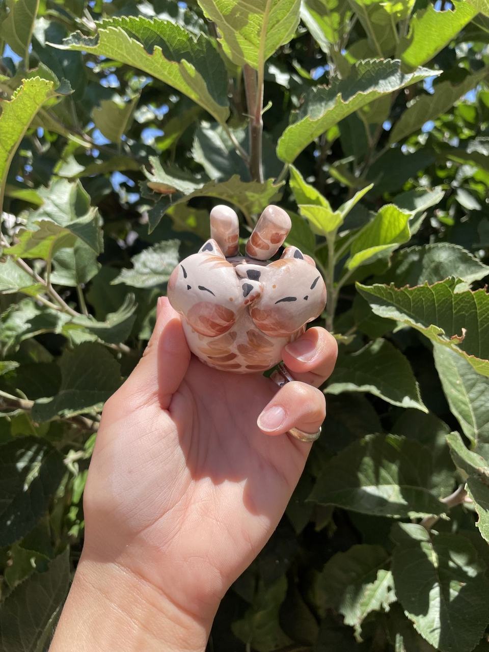 Un Mushi sostenido en la mano entre hojas